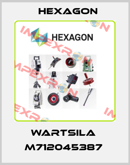 WARTSILA  M712045387  Hexagon