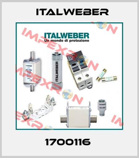 1700116  Italweber