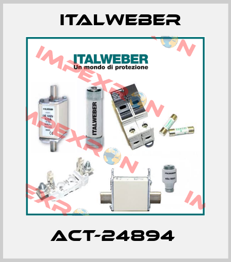 ACT-24894  Italweber
