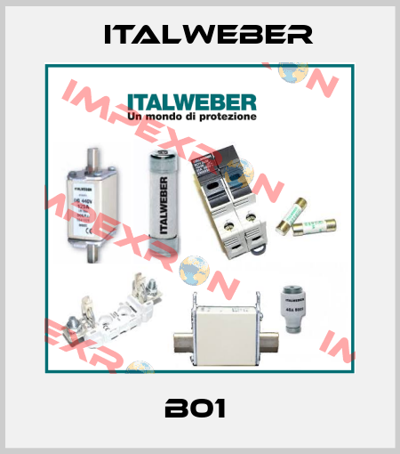 B01  Italweber