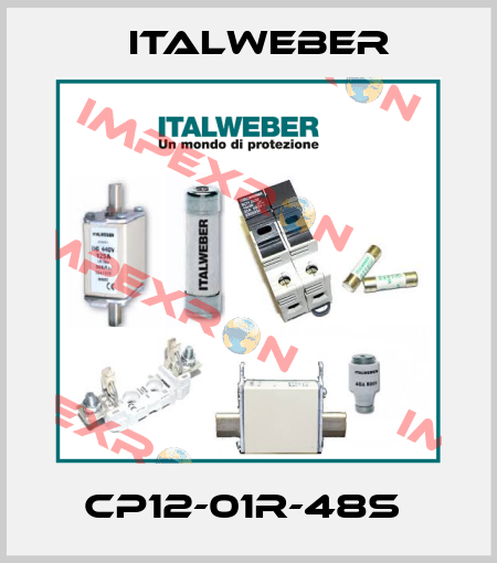 CP12-01R-48S  Italweber