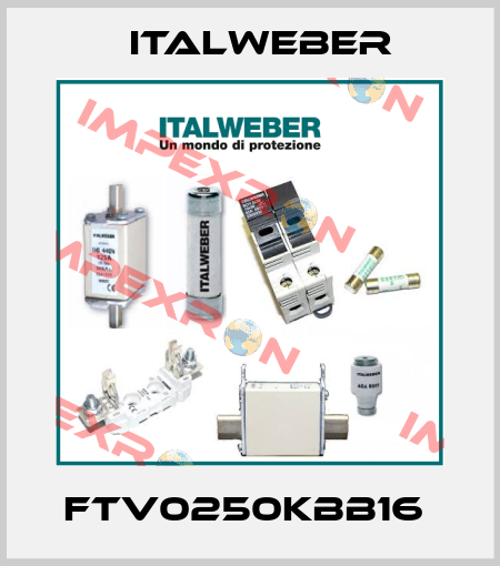 FTV0250KBB16  Italweber
