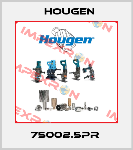 75002.5PR  Hougen