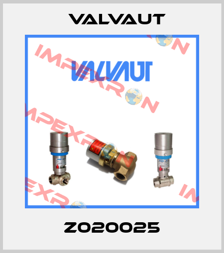 Z020025 Valvaut