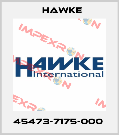45473-7175-000  Hawke