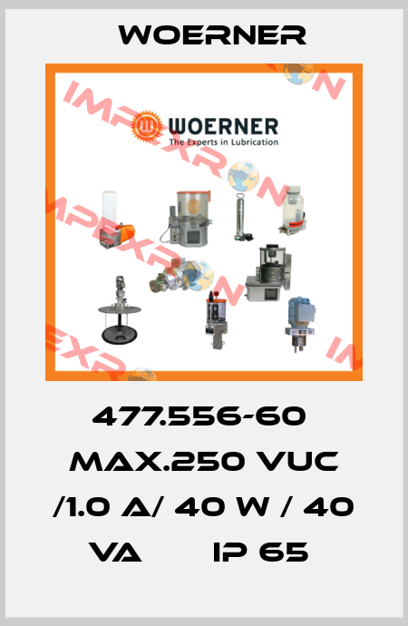 477.556-60  MAX.250 VUC /1.0 A/ 40 W / 40 VA       IP 65  Woerner