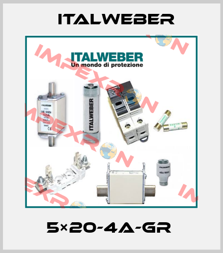 5×20-4A-GR  Italweber