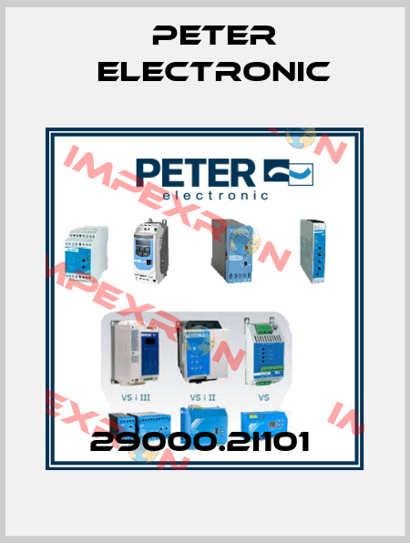 29000.2I101  Peter Electronic