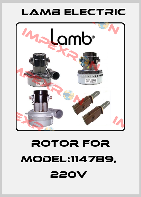 Rotor for Model:114789,  220V  Lamb Electric