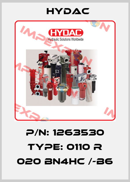 P/N: 1263530 Type: 0110 R 020 BN4HC /-B6 Hydac