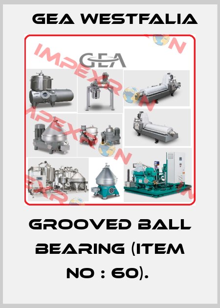 Grooved ball bearing (item no : 60).  Gea Westfalia