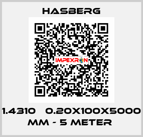 1.4310   0.20X100X5000 MM - 5 METER  Hasberg