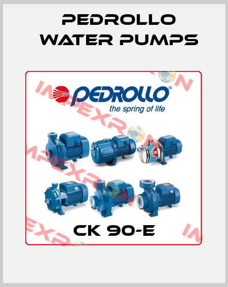 CK 90-E Pedrollo Water Pumps