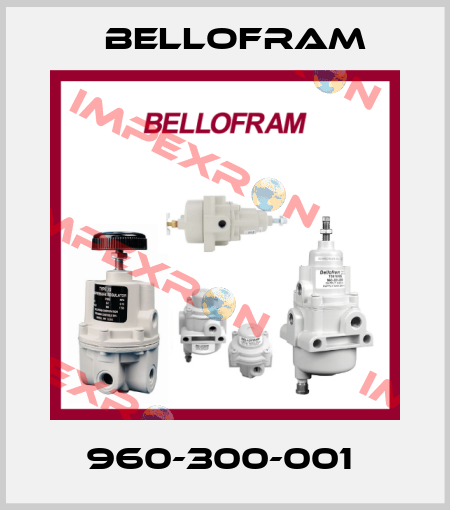 960-300-001  Bellofram