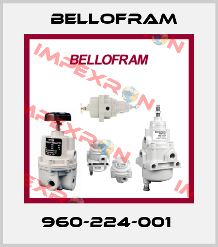 960-224-001  Bellofram