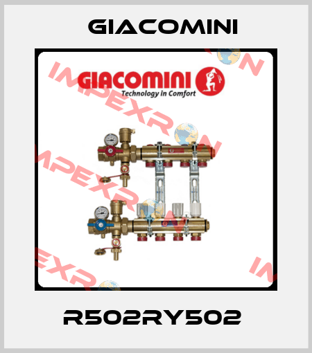 R502RY502  Giacomini
