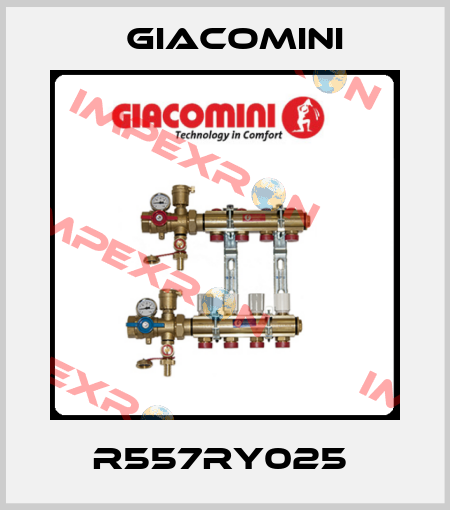 R557RY025  Giacomini