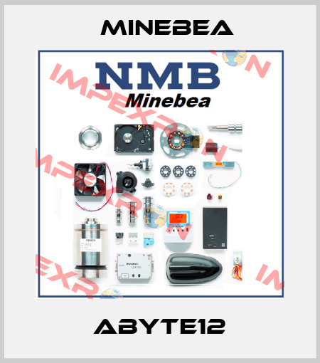 ABYTE12 Minebea