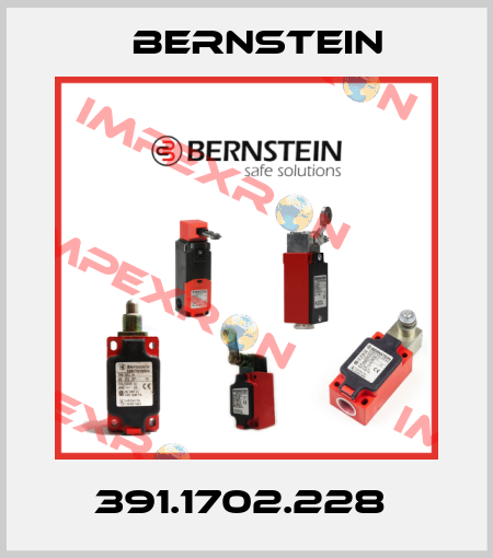 391.1702.228  Bernstein