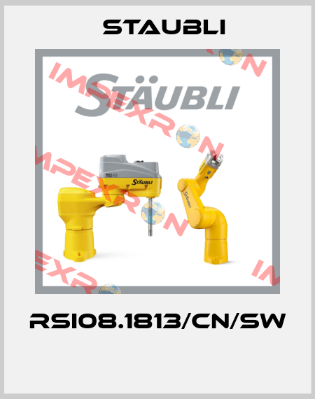 RSI08.1813/CN/SW  Staubli
