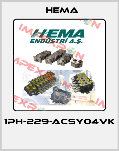 1PH-229-ACSY04VK  Hema
