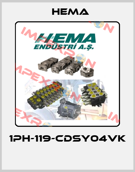 1PH-119-CDSY04VK  Hema