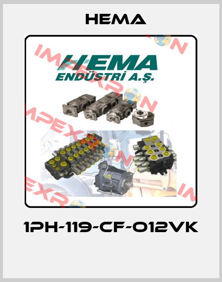1PH-119-CF-O12VK  Hema
