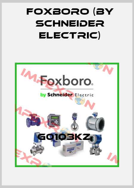 G0103KZ.  Foxboro (by Schneider Electric)