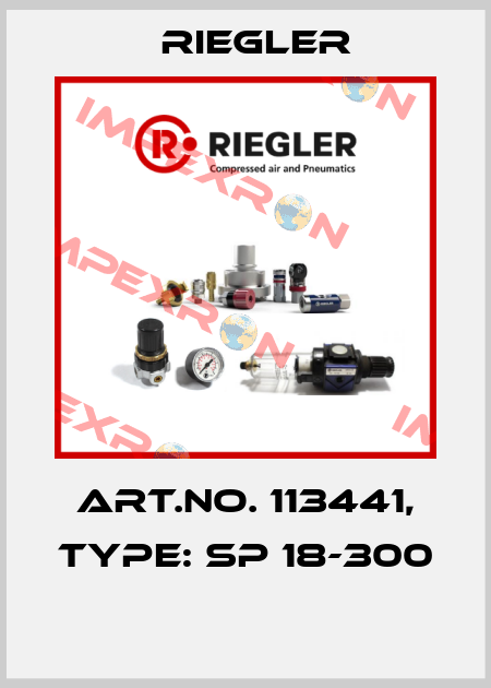 Art.No. 113441, Type: SP 18-300  Riegler