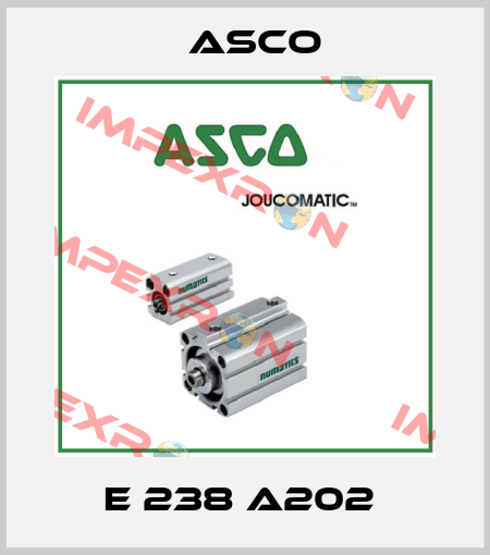 E 238 A202  Asco