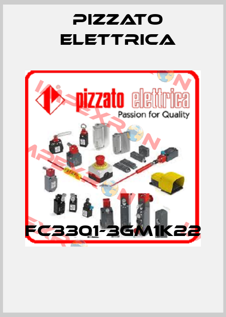 FC3301-3GM1K22  Pizzato Elettrica