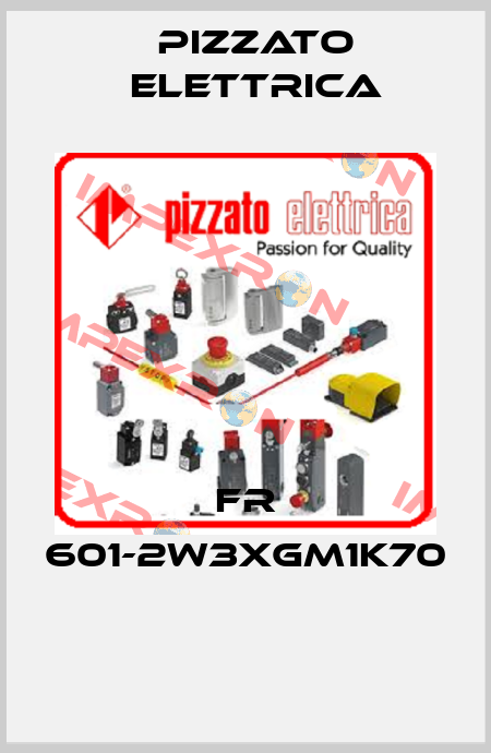 FR 601-2W3XGM1K70  Pizzato Elettrica