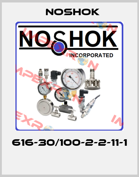 616-30/100-2-2-11-1  Noshok