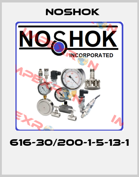 616-30/200-1-5-13-1  Noshok