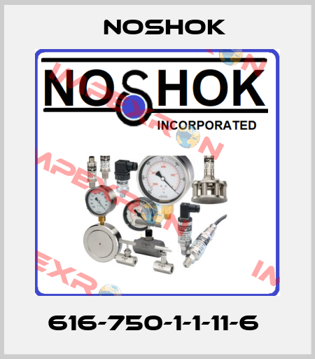 616-750-1-1-11-6  Noshok