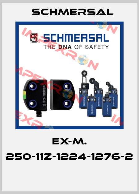 EX-M. 250-11Z-1224-1276-2  Schmersal