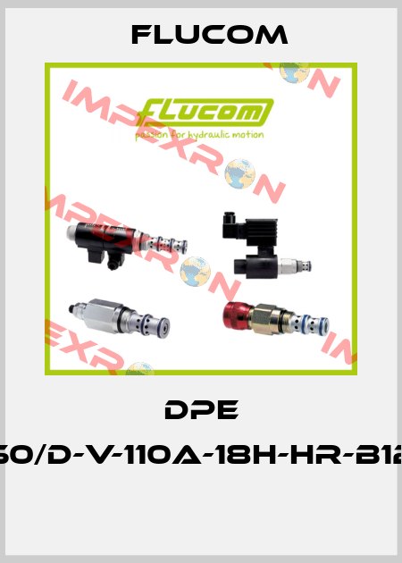DPE 50/D-V-110A-18H-HR-B12  Flucom