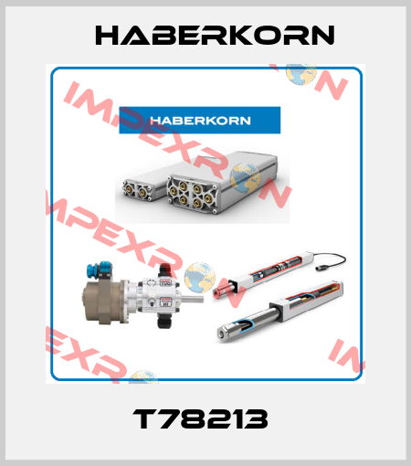 T78213  Haberkorn