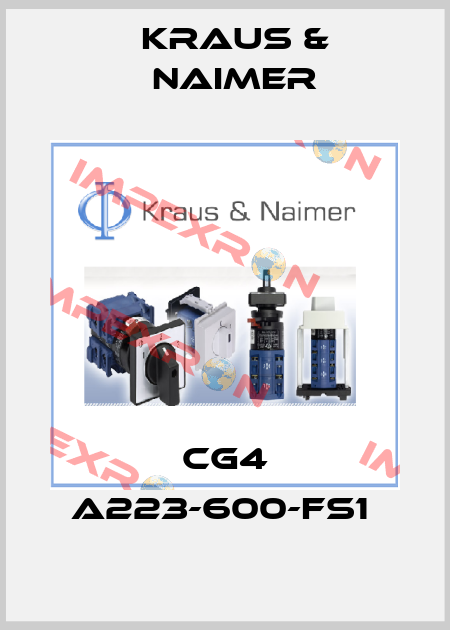 CG4 A223-600-FS1  Kraus & Naimer