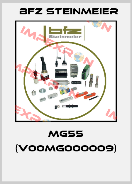 MG55 (V00MG000009)  BFZ STEINMEIER