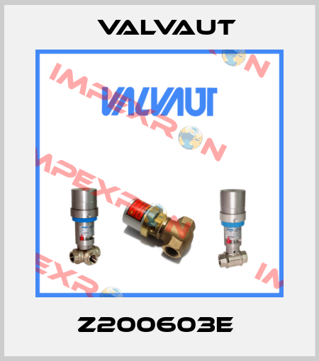 Z200603E  Valvaut
