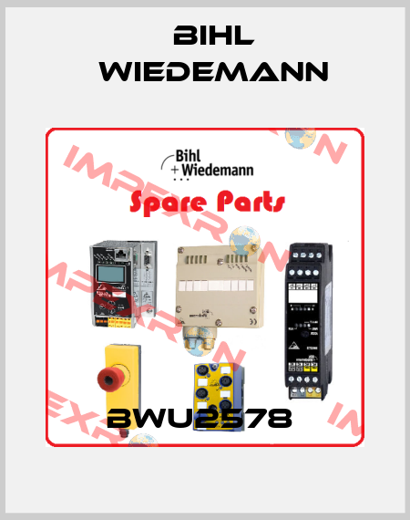 BWU2578  Bihl Wiedemann