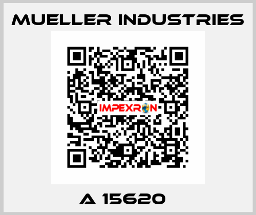 A 15620   Mueller industries