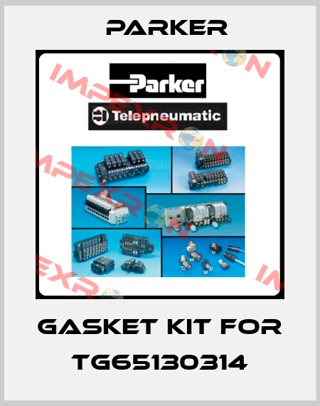 Gasket kit for TG65130314 Parker