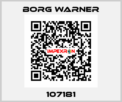 107181 Borg Warner