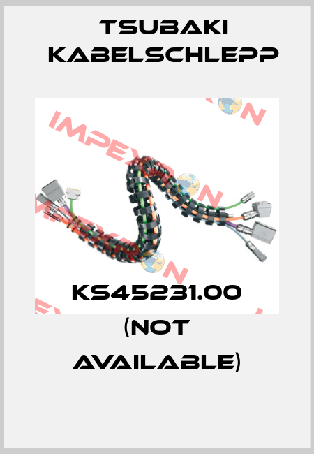 KS45231.00 (not available) Tsubaki Kabelschlepp