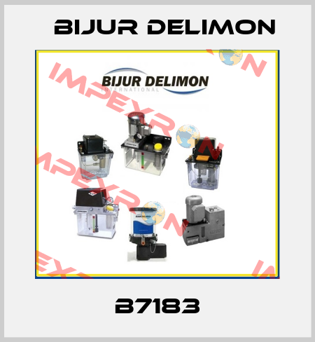 B7183 Bijur Delimon