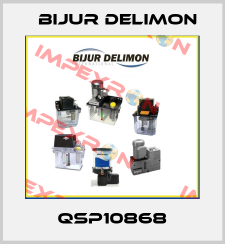 QSP10868 Bijur Delimon