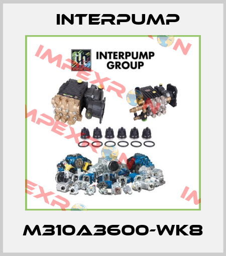 M310A3600-WK8 Interpump