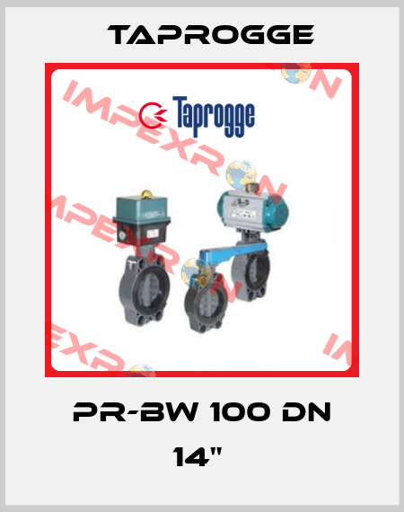 PR-BW 100 DN 14"  Taprogge